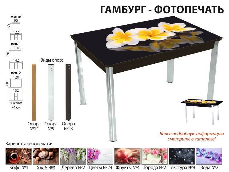 стол обеденный гамбург фотопечать в Пензе