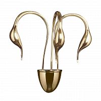 бра lightstar cigno collo 751632 в Пензе