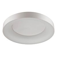 потолочный светодиодный светильник odeon light sole 4062/80cl в Пензе