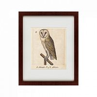картина: one owl, 1560 в Пензе