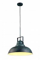 подвесной светильник arte lamp martin a5213sp-1bg в Пензе