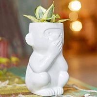 горшок для растений eco молчун в Пензе