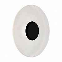 уличный настенный светодиодный светильник st luce sl925.401.01 в Пензе