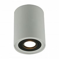 потолочный светильник arte lamp a5644pl-1wh в Пензе