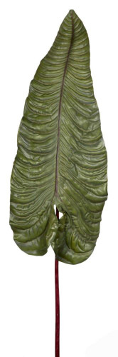 декор alocasia в Пензе