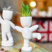 набор для выращивания eco танцор в Пензе