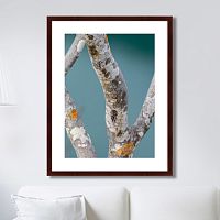 картина: trees on the galapagos islands, ecuador no3 в Пензе
