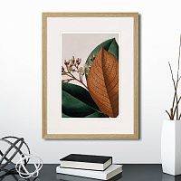 картина: exotic plants of the world №14, 1815г. в Пензе
