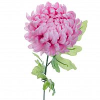хризантема розовая 63 см (24) в Пензе