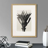 картина: botanical philosophy of forms №8, 1912г. в Пензе