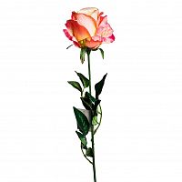 роза нежно-розовая 71 см (24) в Пензе