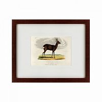 картина: a roebuck, 1830 в Пензе