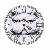 тарелка кот на циферблате в Пензе