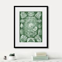 картина: art forms of nature №5, 1897г. в Пензе