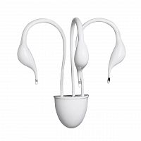 бра lightstar cigno collo wt 751636 в Пензе