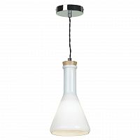 подвесной светильник lussole loft grlsp-9635 в Пензе