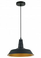 подвесной светильник odeon light kasl 3378/1 в Пензе