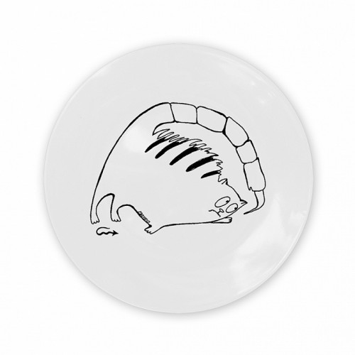 тарелка кот-скорпион в Пензе