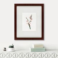 картина: apricot flower (prunus armeniaca), 1832 в Пензе
