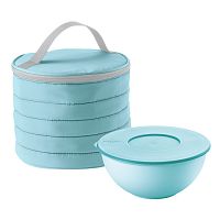 набор термосумка+контейнер handy круглый голубой в Пензе