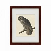 картина: great gray owl, 1834 в Пензе