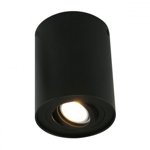 потолочный светильник arte lamp a5644pl-1bk в Пензе