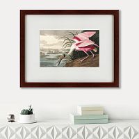картина: roseate spoonbill, 1827 в Пензе