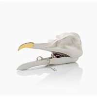 шкатулка для украшений bird skull (белый) в Пензе