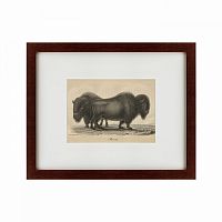 картина: bison, 1828 в Пензе