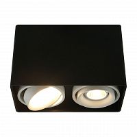 потолочный светильник arte lamp a5655pl-2bk в Пензе