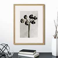 картина: botanical philosophy of forms №4, 1912г. в Пензе