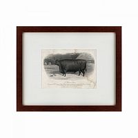 картина: a devon steer, 1869 в Пензе