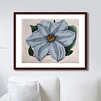 картина: exotic plants of the world №13, 1815г. в Пензе