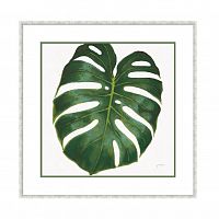 постер monstera зеленый в Пензе