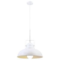 подвесной светильник arte lamp martin a5213sp-1wg в Пензе