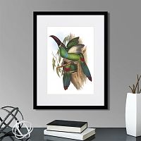 картина: toucans №5, 1849г. в Пензе