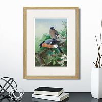 картина: bullfinches, 1915г. в Пензе