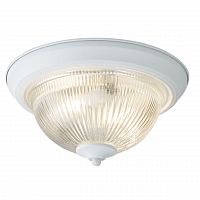 потолочный светильник arte lamp aqua a9370pl-2wh в Пензе