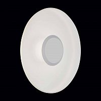 уличный настенный светодиодный светильник st luce sl925.501.01 в Пензе