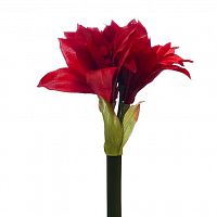 амариллис красный 82 см (12) в Пензе