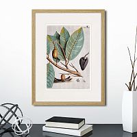 картина: exotic plants of the world №5, 1815 (ii) в Пензе