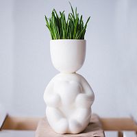 набор для выращивания eco романтик в Пензе