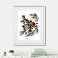 картина: eastern screech owl, 1845г. в Пензе