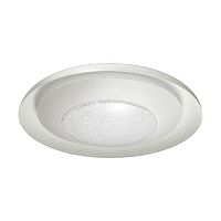 потолочный светодиодный светильник odeon light benso 4623/48cl в Пензе