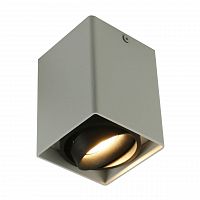 потолочный светильник arte lamp a5655pl-1wh в Пензе