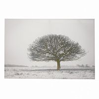 принт wood на подрамнике в Пензе