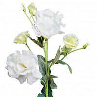 лизиантус белый 77 см (12) в Пензе