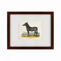 картина: a zebra, 1830 в Пензе