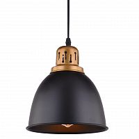 подвесной светильник arte lamp eurica a4245sp-1bk в Пензе