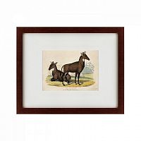 картина: two nilgais, 1830 в Пензе